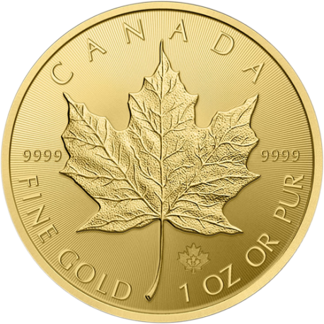 Maple Leaf 1 OZ