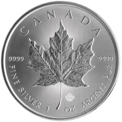 Maple Leaf 1 OZ